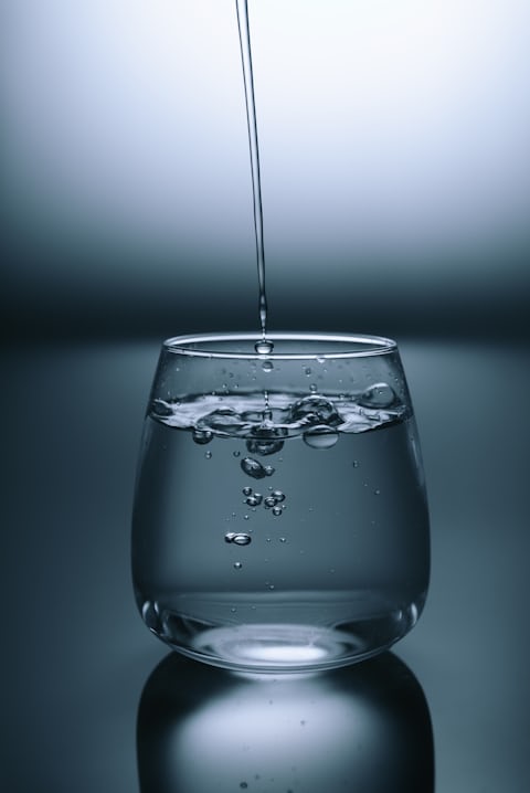Glass of water with citrus